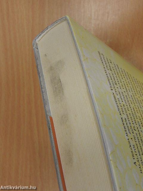 A zsidó háború III.