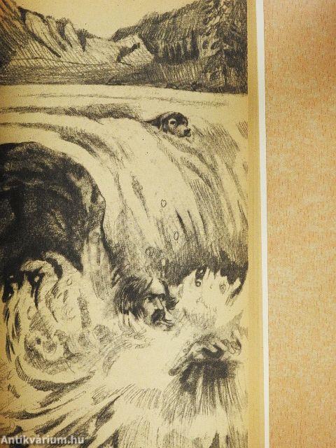 A vadon szava/A mexikói