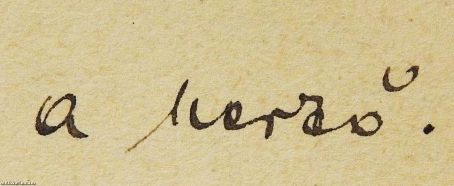 Mezőmadarasi Magyar Pál és János útja Marosszékből Gömörbe (dedikált példány)