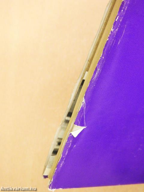 Menedék-ünnep (dedikált példány)