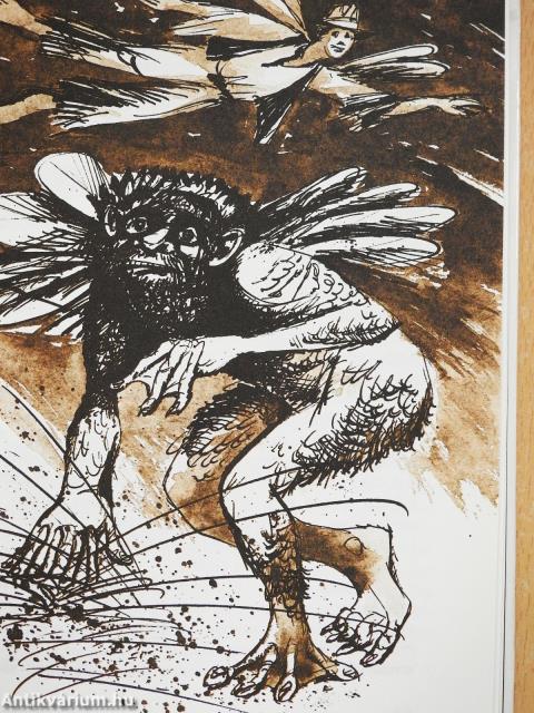 A Duna aranya (dedikált példány)