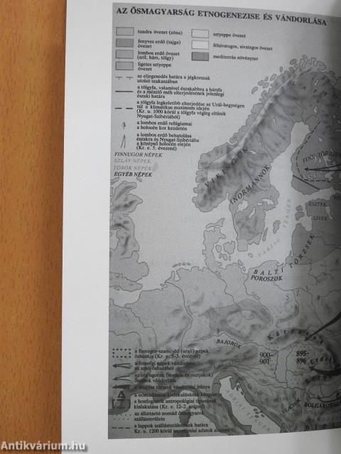 Mérföldkövek a magyar őstörténetben (dedikált példány)