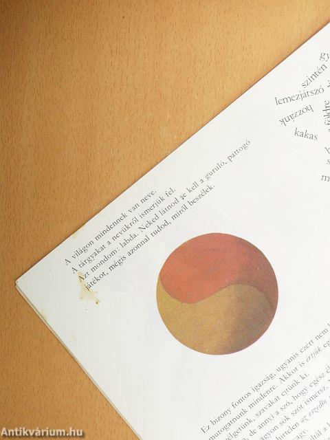 Domokos játszik a szavakkal