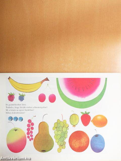 Domokos játszik a szavakkal