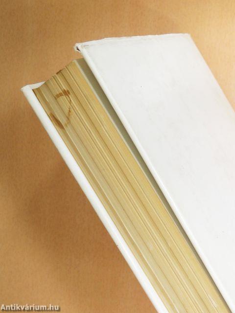 A munkásmozgalom Zala megyei harcosai