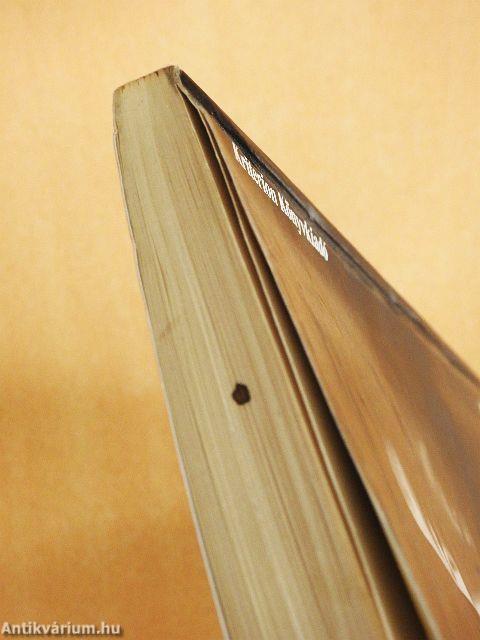 Szűzmáriás királyfi