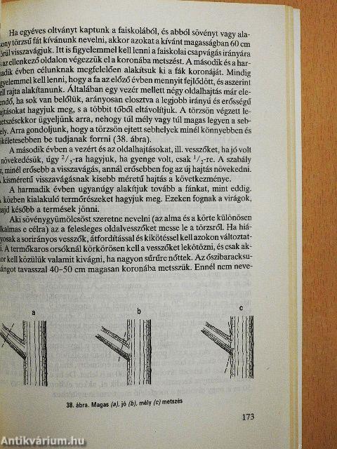 Ősztől őszig a kertbarátoknál