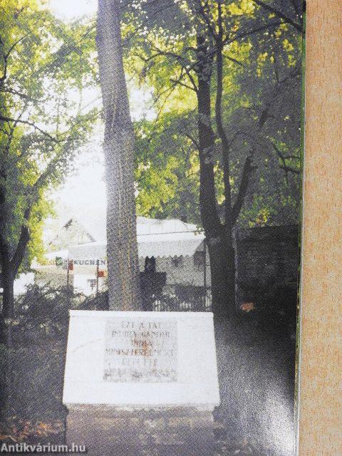 A kultúra fái Balatonfüreden