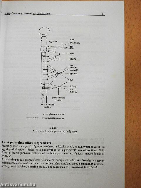 Gyógyszertan