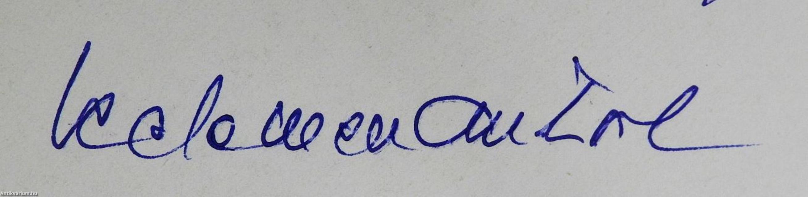 A hangosan szóló csend zenéje (dedikált példány)