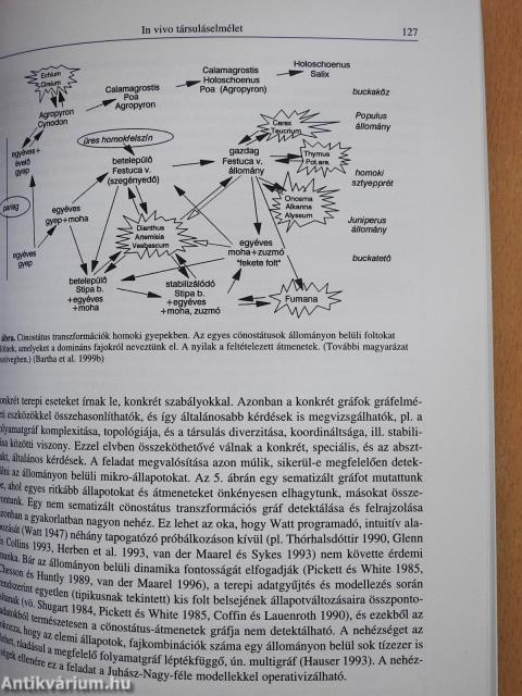 Vegetáció és dinamizmus (dedikált példány)