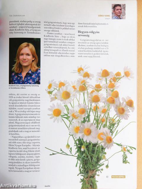 Magyar Krónika 2018. november