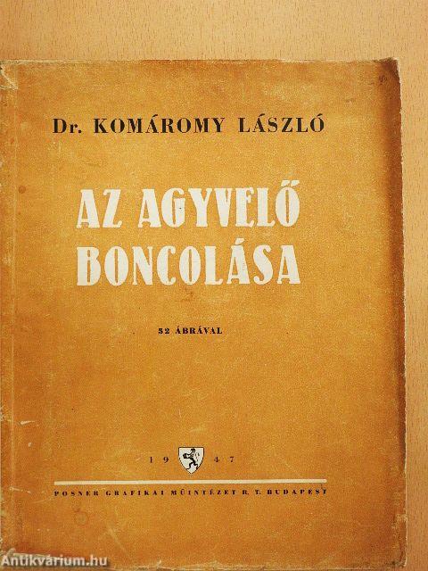 Az agyvelő boncolása