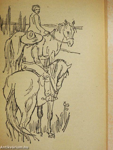 A fantasztikus nagynéni