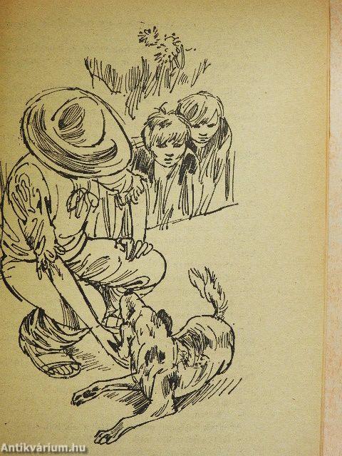 A fantasztikus nagynéni