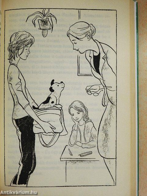 Lufi és az elcserélt születésnap