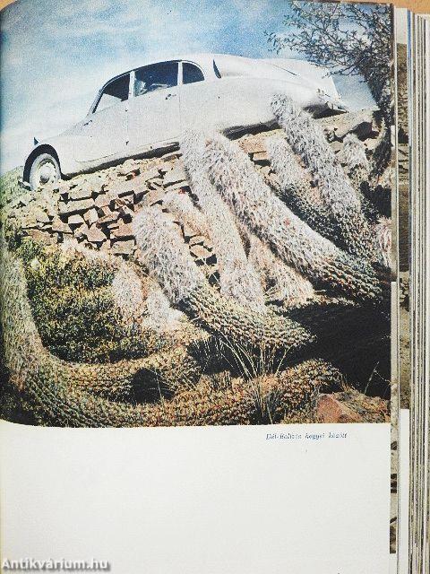 A Kordillerákon át