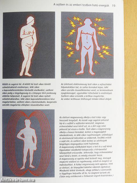 Az arc mint az egészség tükre