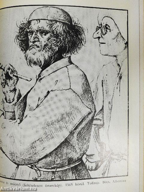 Pieter Bruegel szenvedélyes élete