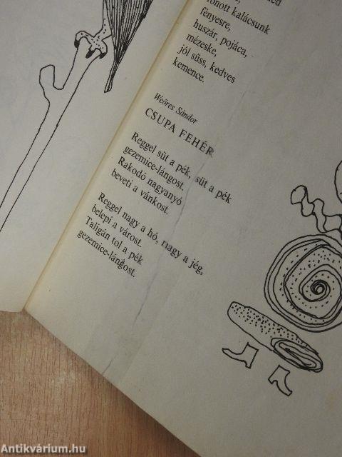 Cini-cini muzsika