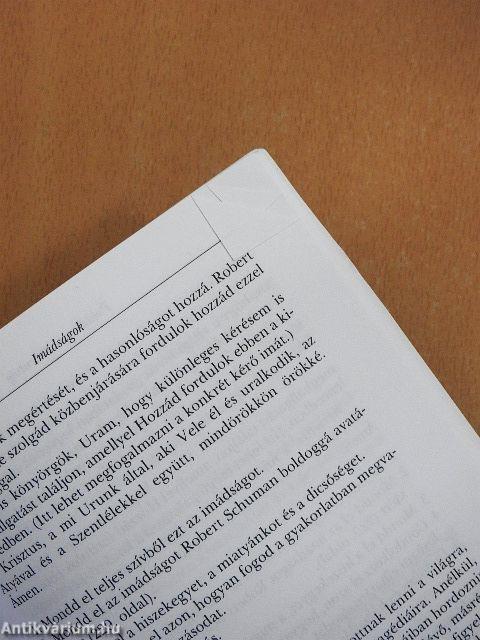 Politika és életszentség