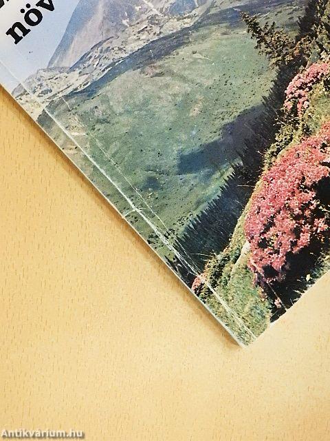 Erdélyi növénykincsek