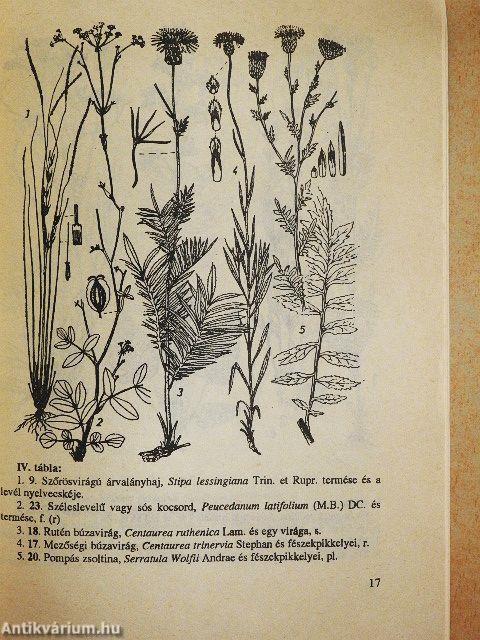 Erdélyi növénykincsek