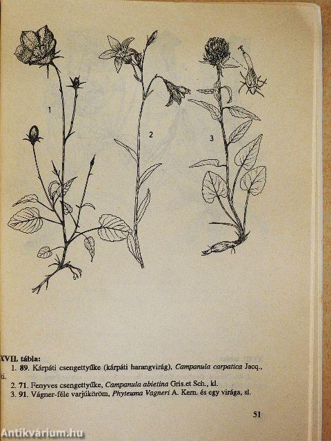 Erdélyi növénykincsek