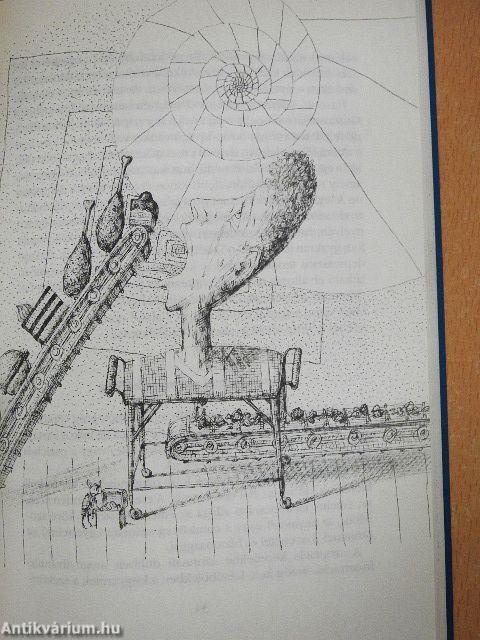 Lelki jajok-testi bajok 2.