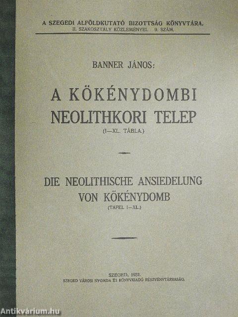 A kökénydombi neolithkori telep