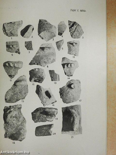 A kökénydombi neolithkori telep