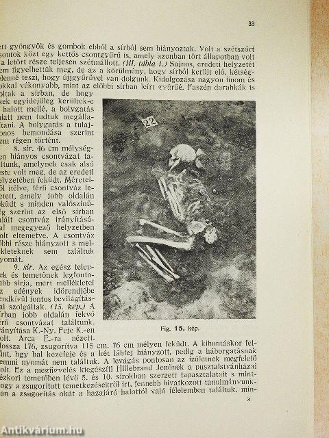 A kökénydombi neolithkori telep