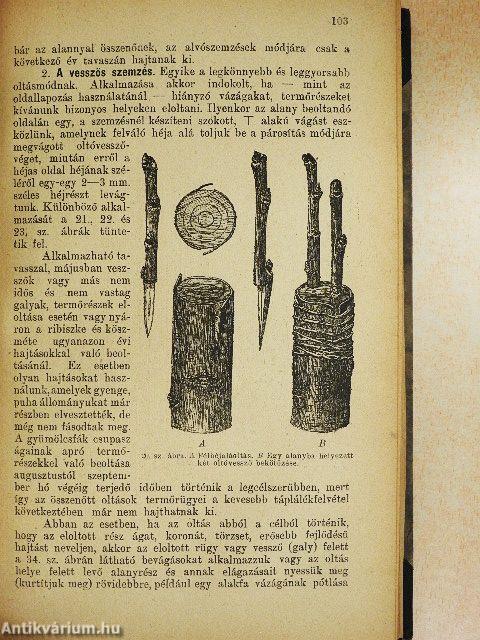 Gyümölcstermesztés