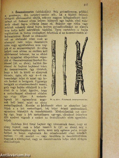 Gyümölcstermesztés