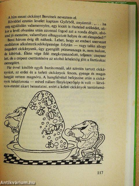 Mindent lehet, de krokodilt - azt nem!