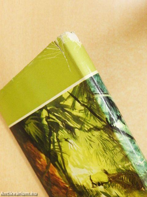 Akik túlélték a vízözönt