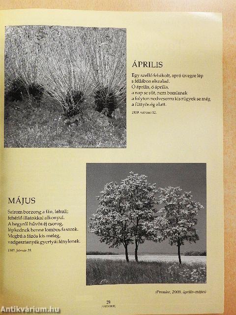 Premier 2010. március-április