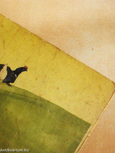 Fülbevalós tyúkocska