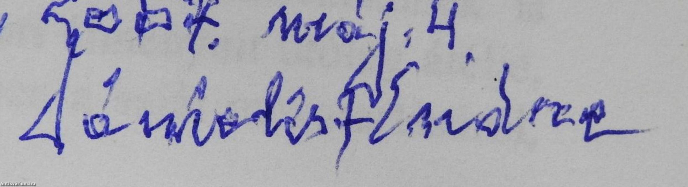 Galiciától a Garda-tóig (dedikált példány)