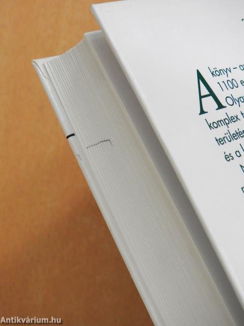 Magyarország technikatörténete (dedikált példány)