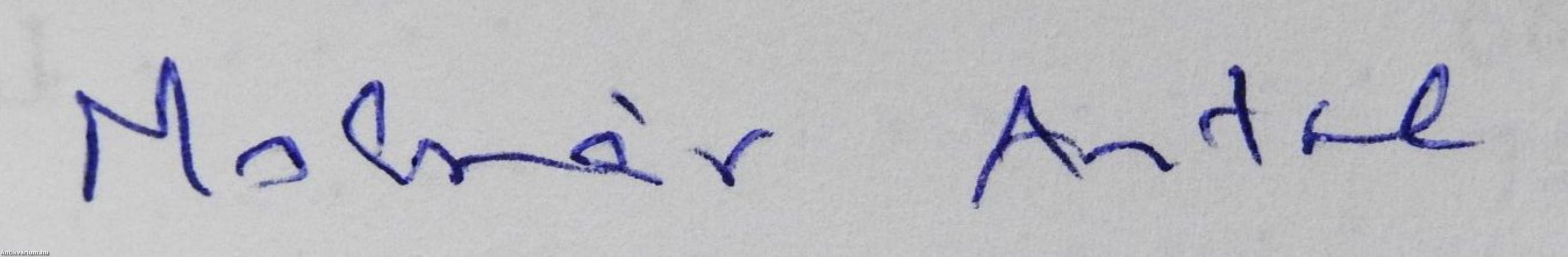 Egy raguzai kereskedőtársaság a hódolt Budán (dedikált példány)