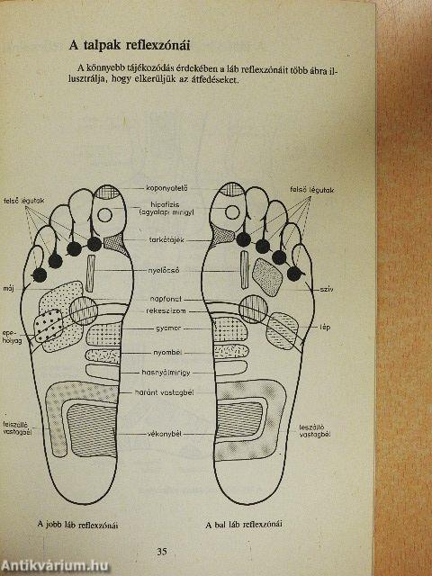 Reflexzóna-masszázs mindenkinek