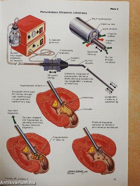 Clinical Symposia 3/1986