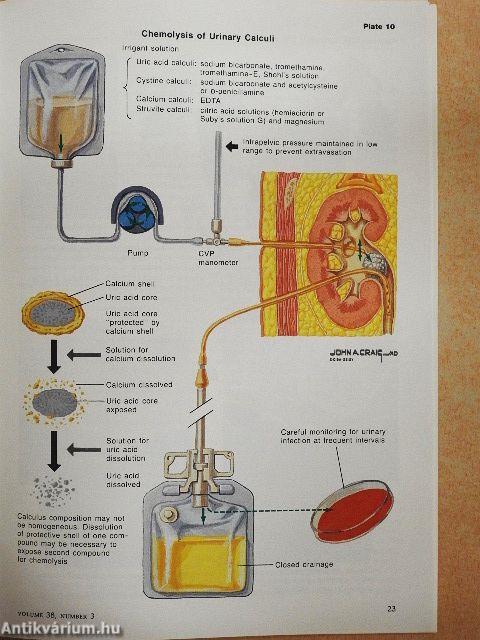 Clinical Symposia 3/1986