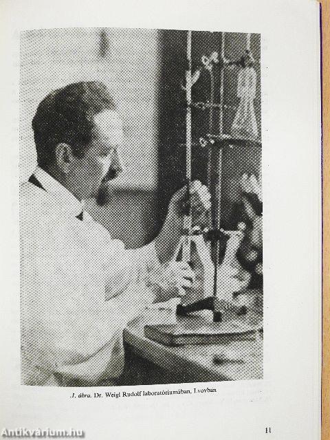 Rickettsiák és chlamydiák okozta betegségek