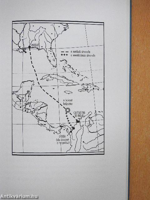 Egy hajótörött története