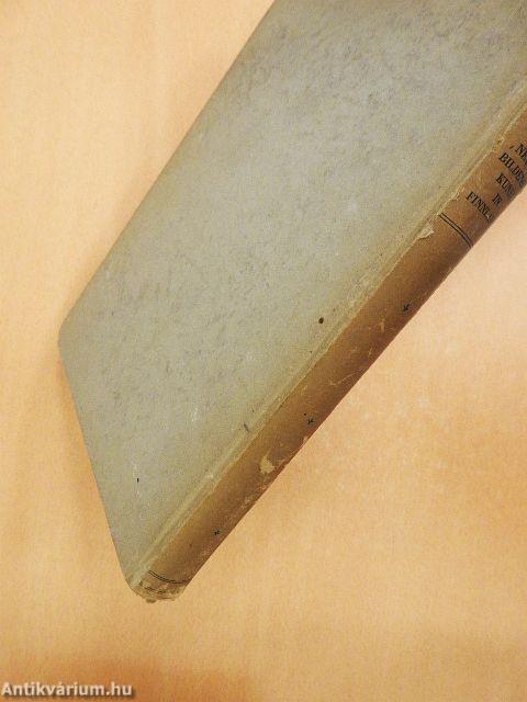 Neuere Bildende Kunst in Finnland