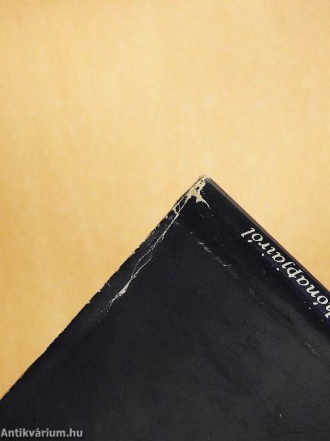 József Attila utolsó hónapjairól