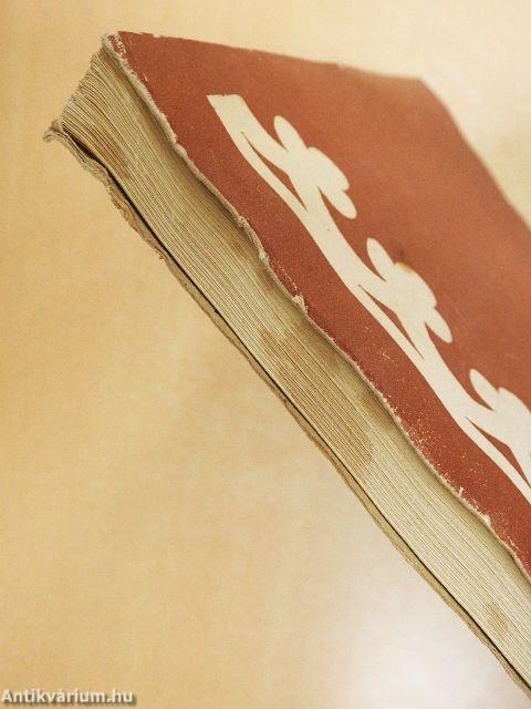 Porti si garduri in judetul Harghita