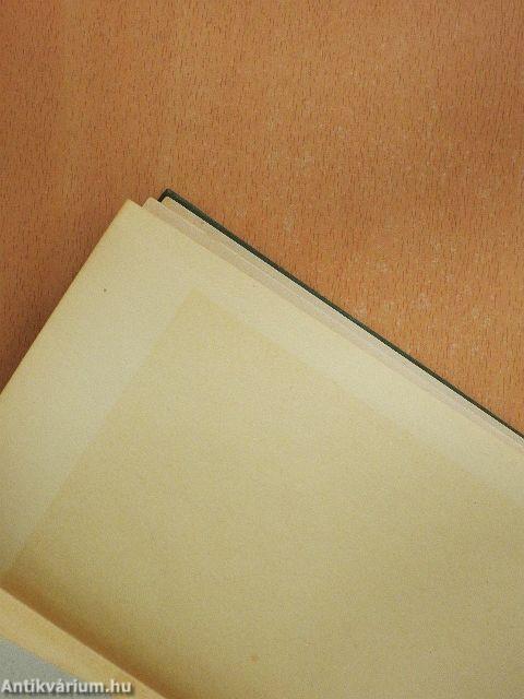 A Kisasszony/Nyuszka